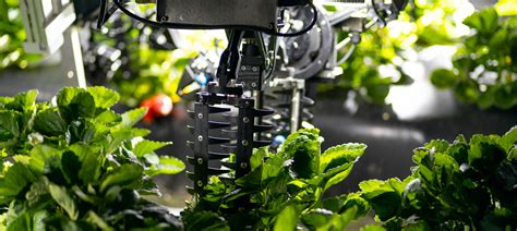 Technology — Harvest Croo Robotics