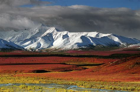 Alaska Range In Autumn Taiga Denali Photograph By Michel Hersen