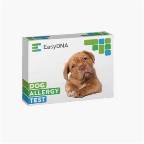 Dog Allergy Testing How It Works Types Of Tests Reliability And More
