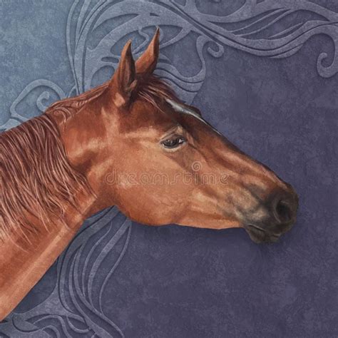 Horses Head Stock Illustration Illustration Of Racehorse 157606914