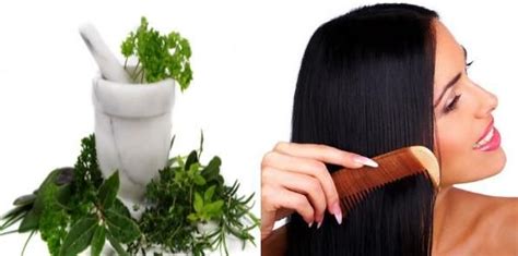 5 Proven Home Remedies For Hair Growth Herbal Hair Care Indian Hair