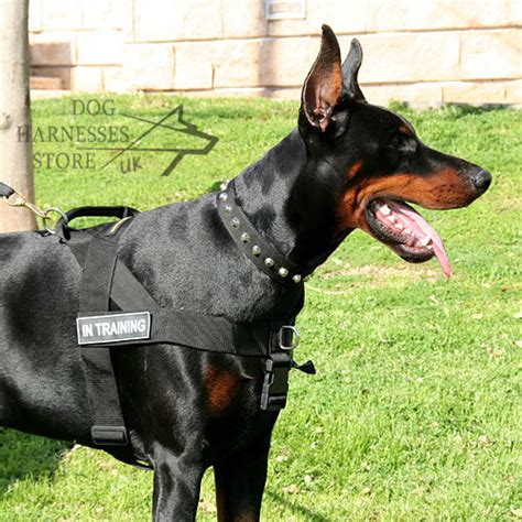 Doberman Harness Multifunctional £3609