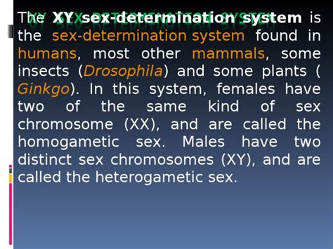 Xy Sex Determination System Pdf