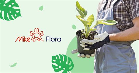 Mike Flora Product Type Barringtonia Asiatica