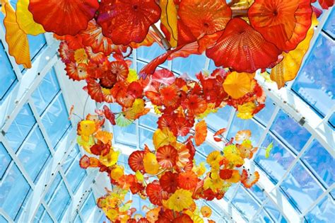 Chihuly Returns To Atlanta Botanical Garden Gafollowers