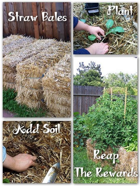 Easy Gardening With Straw Bales Free Gardening Tips Free