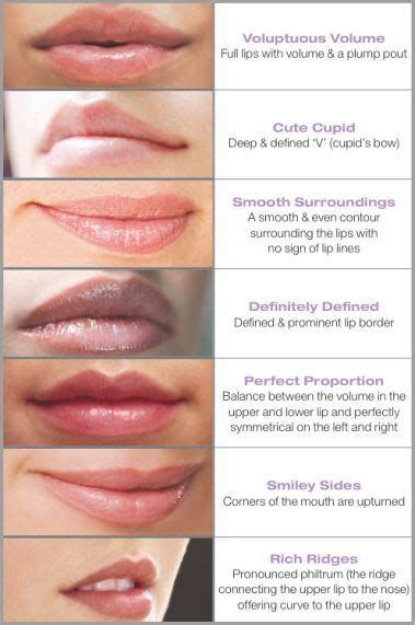 Lip Shapes 2 In 2020 Lip Augmentation Types Of Lips Shape Lip Types