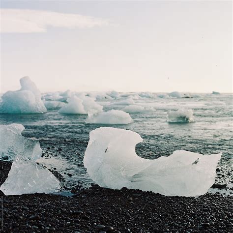 Jökulsárlón Floating Icebergs On Iceland By Stocksy Contributor Atle