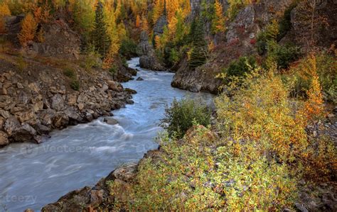 Autumn Colors Along Stikine River In Northern British Columbia 6237847