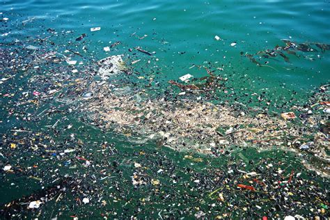 Trash Pollution In The Ocean One Step Greener