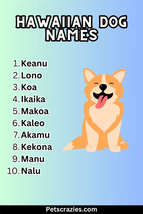 200 Hawaiian Dog Names Tropical And Oceanic Picks