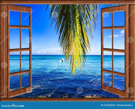Open Window To The Sea Stock Photo Image Of Palm Building