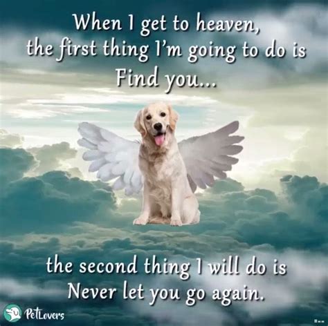 Pin By J Squared Designs On Doggies Quotes And Signs Dog Poems Dog
