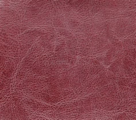 Leather Artificial Leather Textured Surface Of Artificial Or Natural