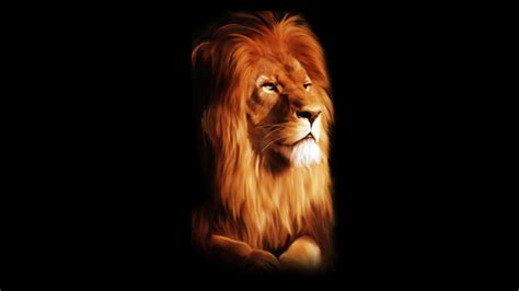 Black Lion Wallpapers Top Free Black Lion Backgrounds Wallpaperaccess