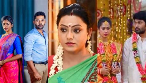 Famous Serials Update Is Your Beaverette Streak Coming To An End What Is The Truth Time News