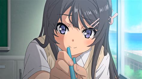 Dokidoki Sr Anime Seishun Buta Yarou Wa Bunny Girl Senpai No Yume Wo