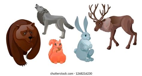Different Wild Animals Living Forest Deer Stock Vector Royalty Free