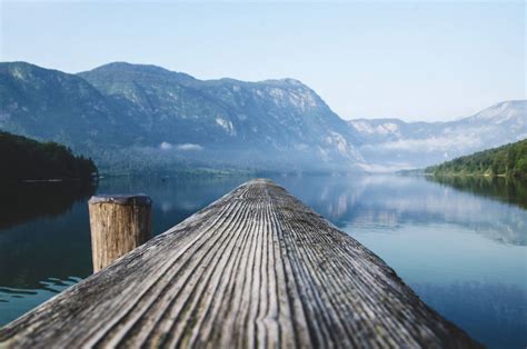 🥇 Image Of Wood Log Lake Water Landscape Nature Mountains Free Photo