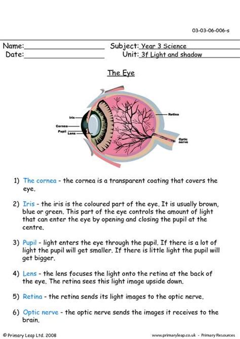 The Eye Uk Free Worksheets For Kids Worksheets For
