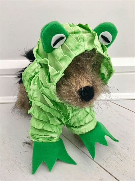 Frog Costume Green Frog Costume Halloween Costume Dog Frog Etsy