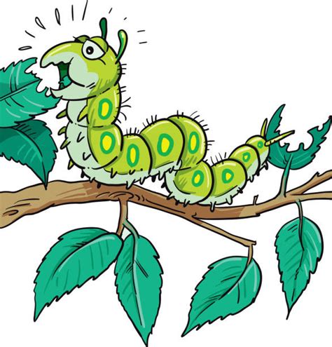 Cute Caterpillar Cartoon Eating Leaf Illustrations Royalty Free Vector