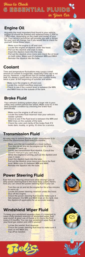 The 6 Most Important Fluids To Check This Spring Robs Auto