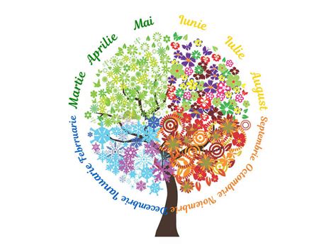 Sticker Copacul Anotimpurilor şi Lunile Anului Folina Multicolor