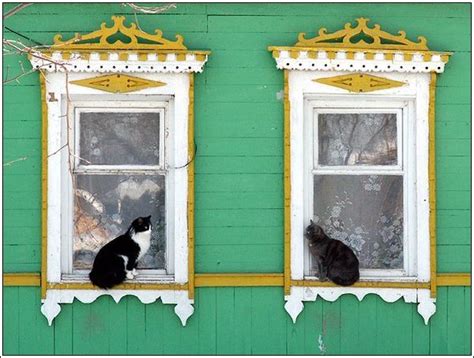 Pin By Je Hart On Window Cats Cat Window Cats And Kittens Cat Photo