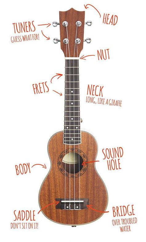 Just like on the guitar, you are far better off knowing just a few chords and knowing how to use them well than know lots of chords and have no rhythm or repertoire. ukulele parts diagram - www.ukulelego.com #ukulelelessons ...