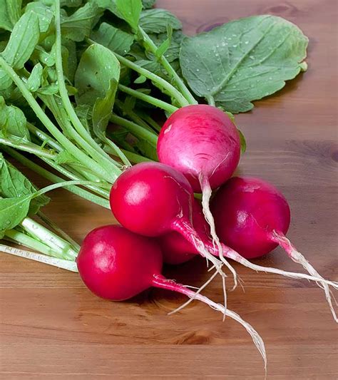 Radish crops were first cultivated in china and were later spread through the northern hemisphere and into europe in the 1500s. 10 Amazing Health Benefits Of Radish Leaves (Mooli Ke Patte)