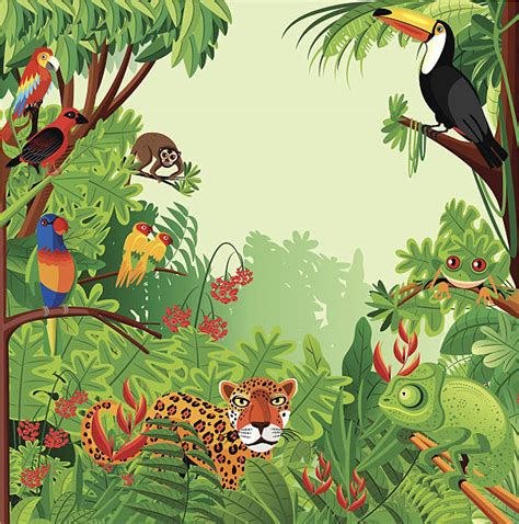 Royalty Free Tropical Rainforest Clip Art Vector Images