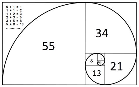 Fibonacci Day November 23 2022 Happy Days 365