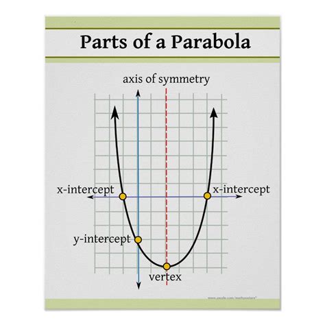 Quadratic Function Parts Of A Parabola Poster Custom Posters