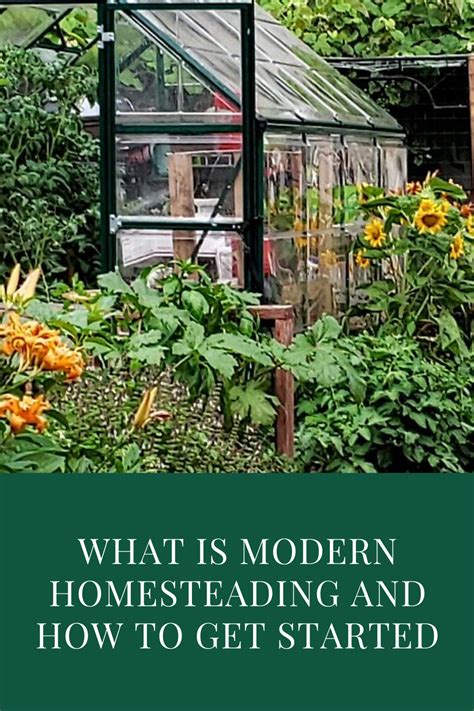 The True Definition Of Modern Homesteading And What It Takes To Turn