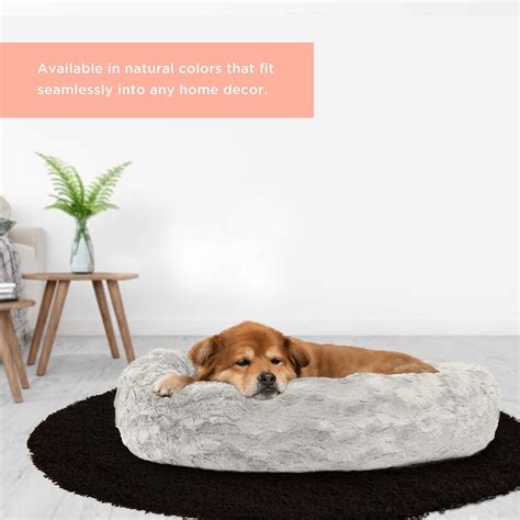10 Best Dog Beds For Dachshunds In 2022 Pet Struggles