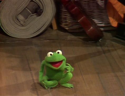 Robin The Frog Muppet Wiki