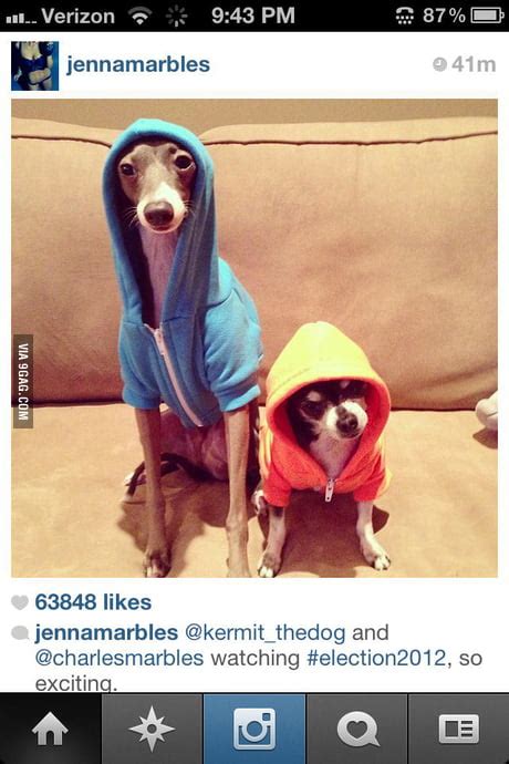 Snoop Dogg Meme Dog