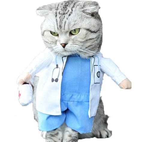 Cat Doctor Costume Best Cat Costumes For Halloween 2020 Popsugar