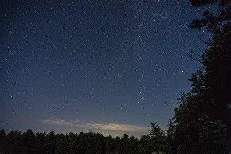 Free Stock Photo Of Starry Night Sky Over Forest — Hd Images