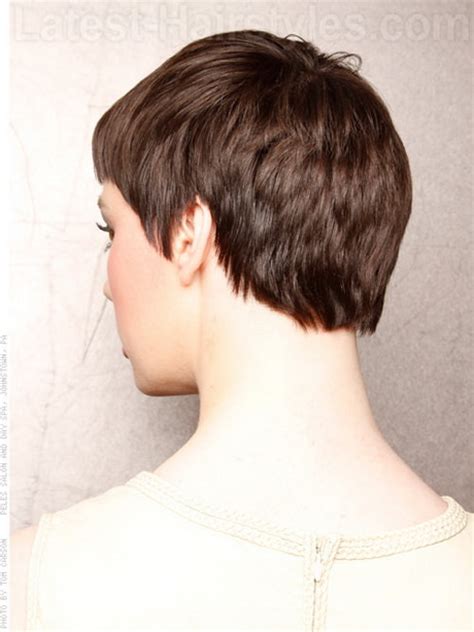 Back View Of Pixie Haircut Style And Beauty