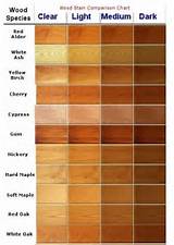 Wood Stain Versus Paint Pictures