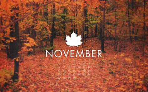 November Facts: 7 Interesting, Cool & Funny Facts