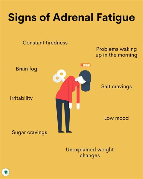 Adrenal Fatigue What You Need To Know — Seeking Health