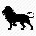 Lion Icon Zoo Transparent Background Icons Leon
