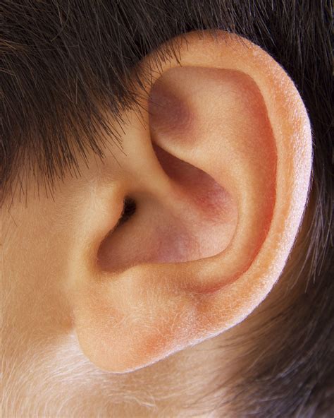 Pin On Hearing