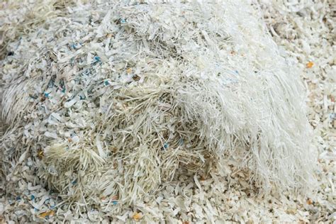 Closeup Of Shredded Paper Documents Stock Photo Image Of Identity