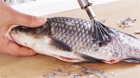 High Quality Dried Tilapia Fish Scales For Collagen Extraction Buy
