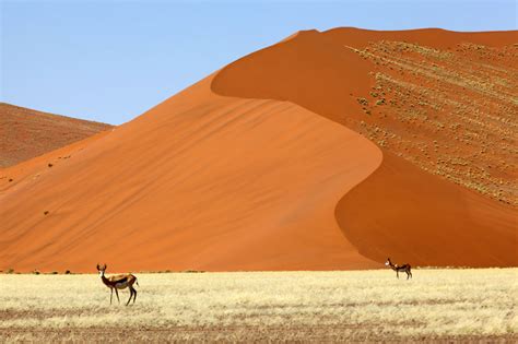 30 Legendäre Fotos In Ganz Südafrika Südafrika Reise Blog