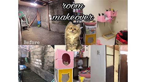 Diy Cat Room Ideas Tips To Catify Your Home Best Meow Cattery Youtube